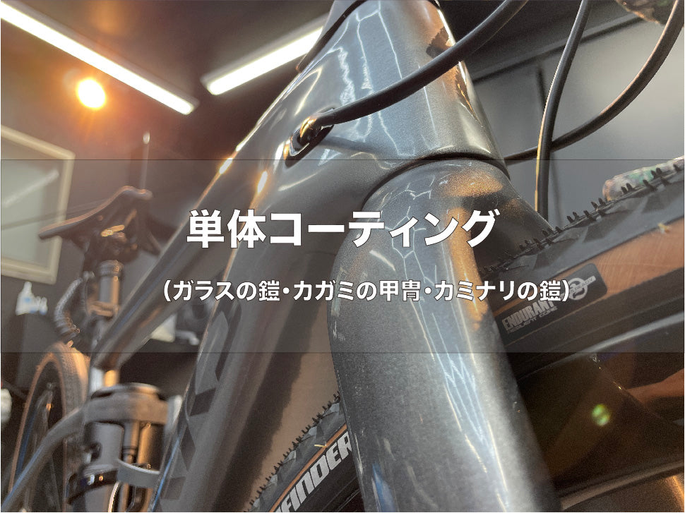 マットフレーム【単体コーティング】　「鏡面研磨コース」